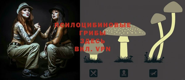 трава Балахна