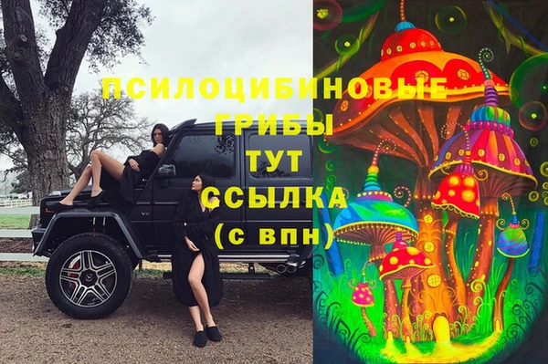 гидра Балабаново
