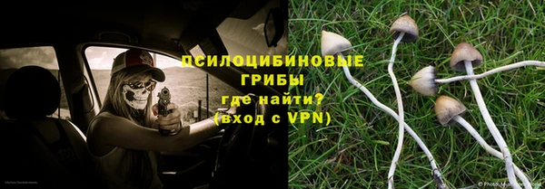 гидра Балабаново