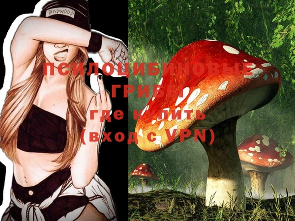 PSILOCYBIN Заволжск