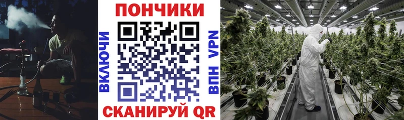 купить наркоту  Лянтор  Конопля тримм 